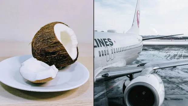 Why Putting Coconuts in Your Bag Is Not Allowed When Flying .